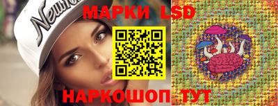 эйфоретик Моздок