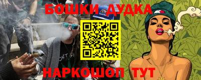 гидра Можга