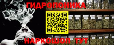 гидра Можга