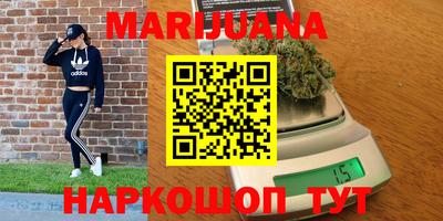 гидра Можга